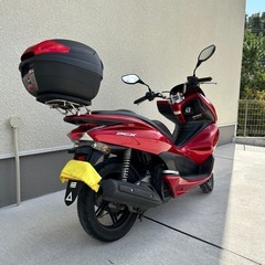 pcx125 JF125 赤
の画像