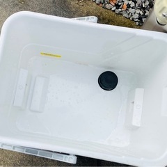 アイリスオーヤマ　高圧洗浄機
の画像