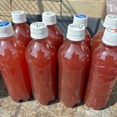 PSB  光合成細菌　500ml
