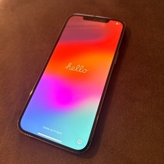 iPhone12promax