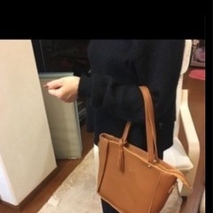 新品未使用バッグほか4点セット！お譲りします！の画像