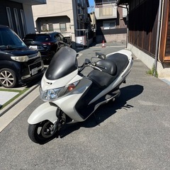 スカイウェブ250