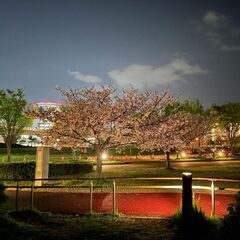 [Ａ][Ｐ]単発ＯＫ！日払い可◎警備員！週0日～可の画像