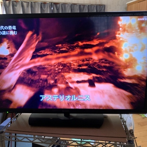 テレビ