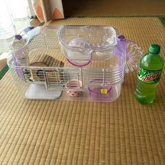 ハムスターゲージの画像