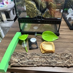 爬虫類飼育セットエキゾラグラステラリウム3045の画像
