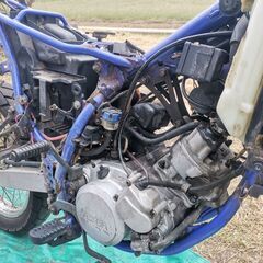 DT125R 3FW8 1994年 実動はいかがでしょうか？の画像