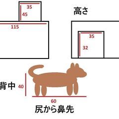 中型犬向け　大きな穴ぐらタイプの犬小屋　※現状渡しの画像