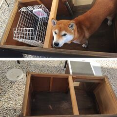 中型犬向け　大きな穴ぐらタイプの犬小屋　※現状渡しの画像
