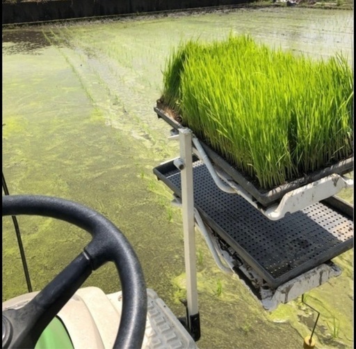 10/13収穫新米30kg¥13000