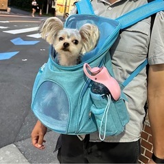 ペットバックの画像