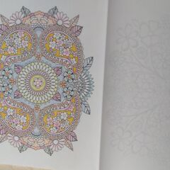 塗り絵★FLOWER DESIGNS★Jenean Morrisonの画像
