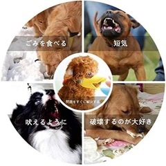 大型犬の口輪　新品未使用の画像