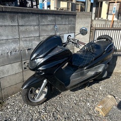 マジェスティＣ売ります！