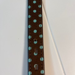 中型犬用　首輪　試着のみ　訳ありの画像