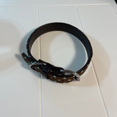 中型犬用　首輪　試着のみ　訳あり