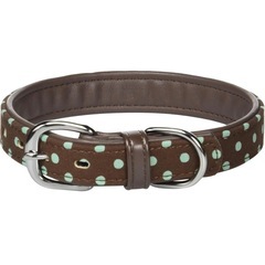 中型犬用　首輪　試着のみ　訳ありの画像