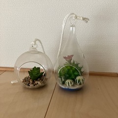 フェイクサボテン