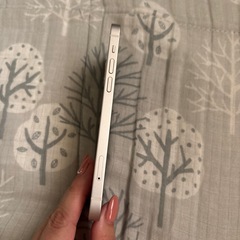 iPhone12の画像