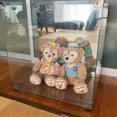 ガラスケース　昭和　レトロ　アンティーク　ヴィンテージ　の画像
