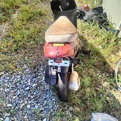 ホンダディオZXの画像