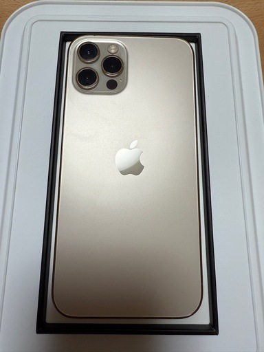 iPhone12 Pro