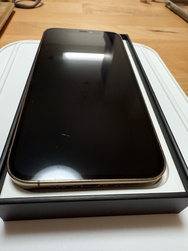 iPhone12 Pro