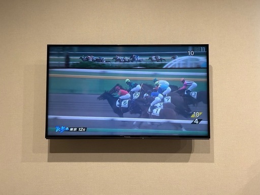 Panasonic ハイビジョン液晶テレビ TH-49EX600（49V型）2017年製