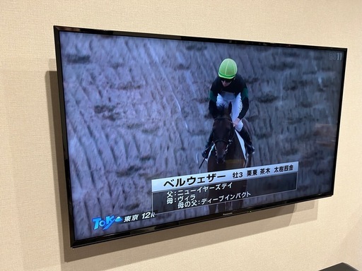 Panasonic ハイビジョン液晶テレビ TH-49EX600（49V型）2017年製 
