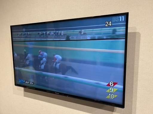 Panasonic ハイビジョン液晶テレビ TH-49EX600（49V型）2017年製 
