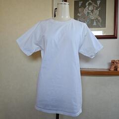 Champion　Surf’s Up Tシャツ