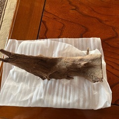 流木の画像