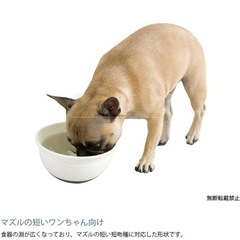 早食い防止 OPPO オッポ FoodBall open フードボール・オープン　ペチャバナ用の画像