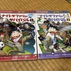 値下げ 【サバイバルシリーズ】の画像