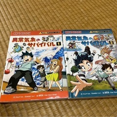 値下げ 【サバイバルシリーズ】の画像