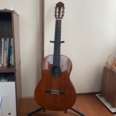 ギター　青葉市子使用モデル　