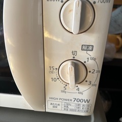 Iris Oyama 電子レンジ　2018年の画像