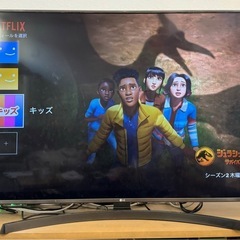 【12月引取希望】55インチテレビ　2018年モデル
