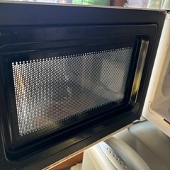 Iris Oyama 電子レンジ　2018年の画像