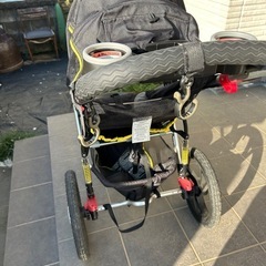 ベビーカー　大型の画像