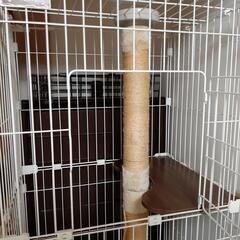 中古三段ゲージの画像