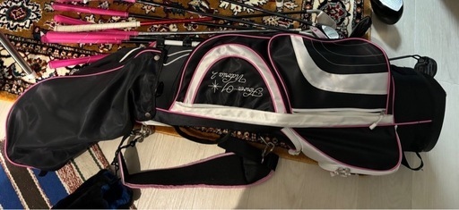 WORLD EAGLE FL-01V2 クラブセット 10本 レディース/右用 バッグ