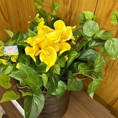 造花　CT触媒加工済　②の画像