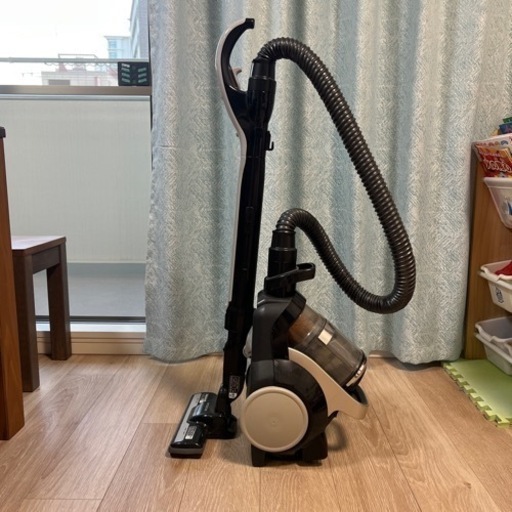 家電 生活家電 掃除機