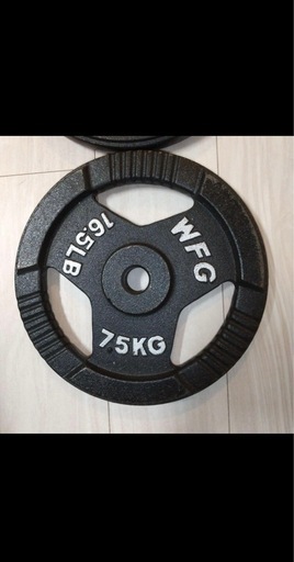 WFG 7.5kg プレート2枚
