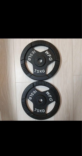 WFG 7.5kg プレート2枚