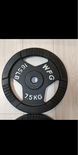 WFG 7.5kg プレート2枚