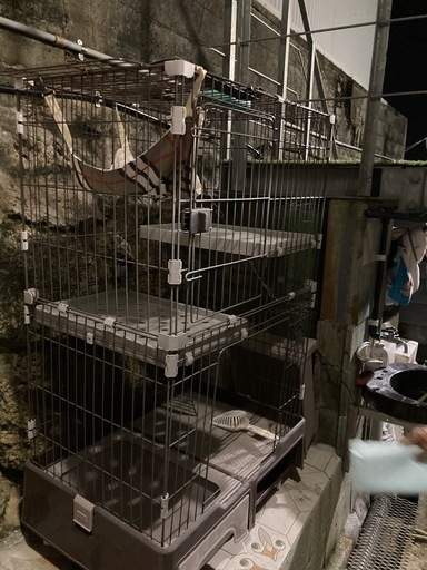 猫のゲージ
