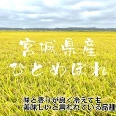 R6年 宮城県産 ひとめぼれ 30kg 玄米 新米