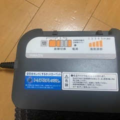ホットカーペットの画像